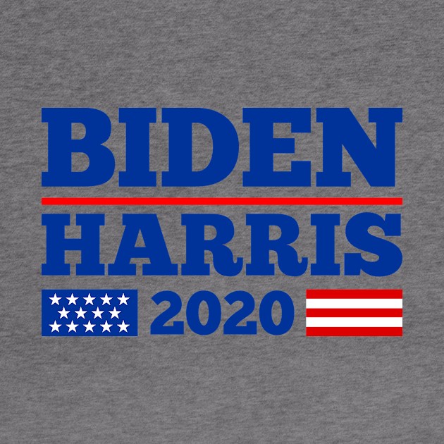 biden harris 2020 by night sometime